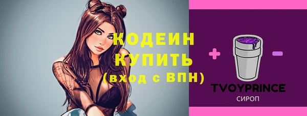 МДПВ Киренск