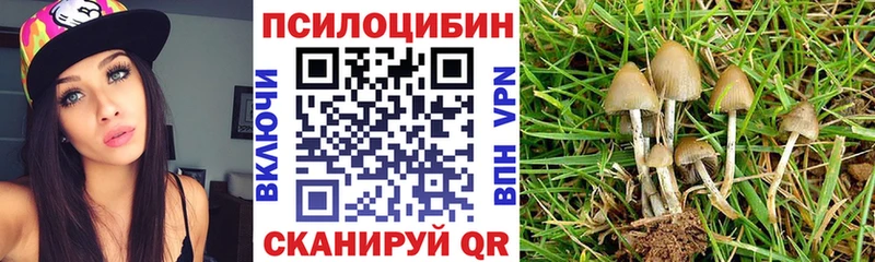 Псилоцибиновые грибы Cubensis  Купить закладки  Бирюч 